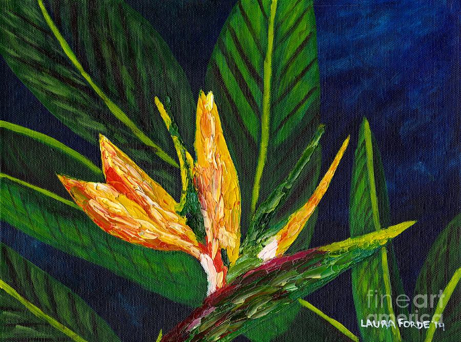 Bird of Paradise Painting by Laura Forde