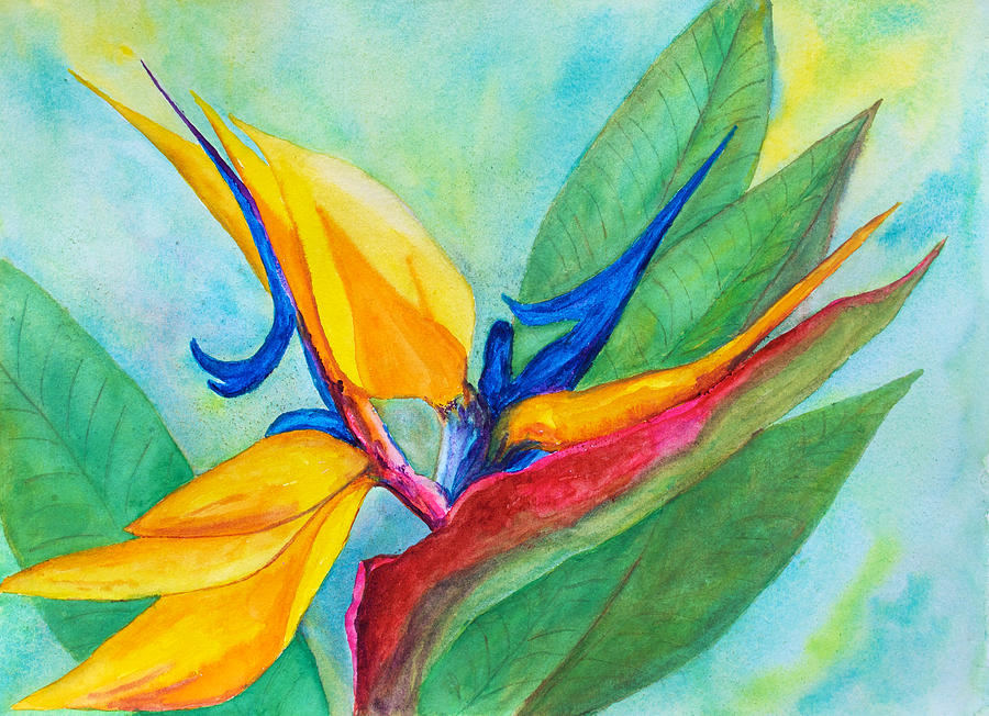 Bird of Paradise Naples Painting by Patricia Beebe