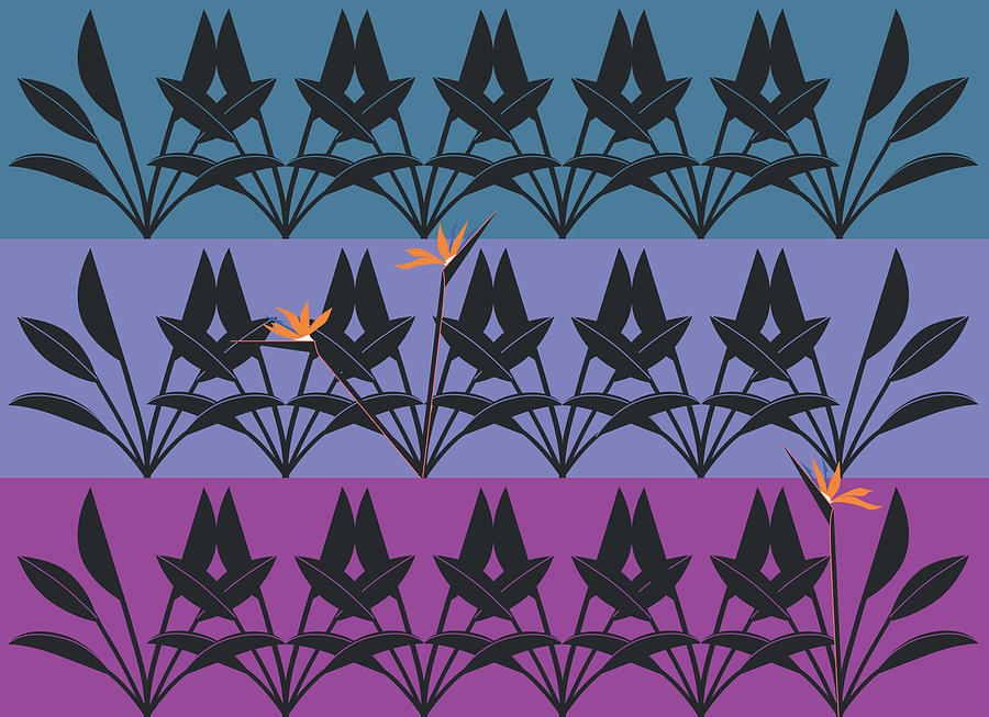 Bird of Paradise Pattern by Marie Sansone Bird of Paradise Pattern by Marie Sansone