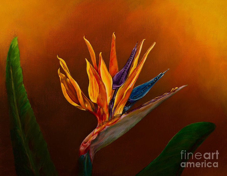 Flower Painting - Bird of paradise by Zina Stromberg