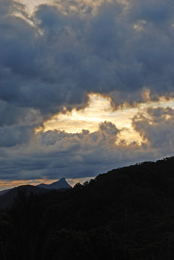 Bird of Peace over Mt. Wollumbin Photograph by Ankya Klay
