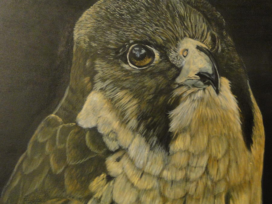 Bird Of Prey Painting by Shaunna Newell - Fine Art America