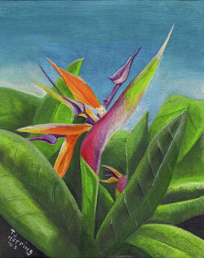 Hawaiian Bird Of Paradise Painting