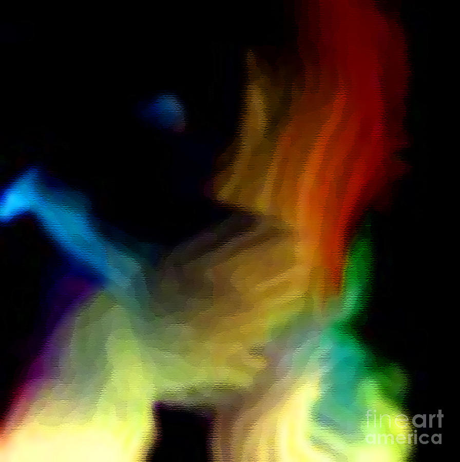 Bird of The Rainbow Digital Art by Gayle Price Thomas