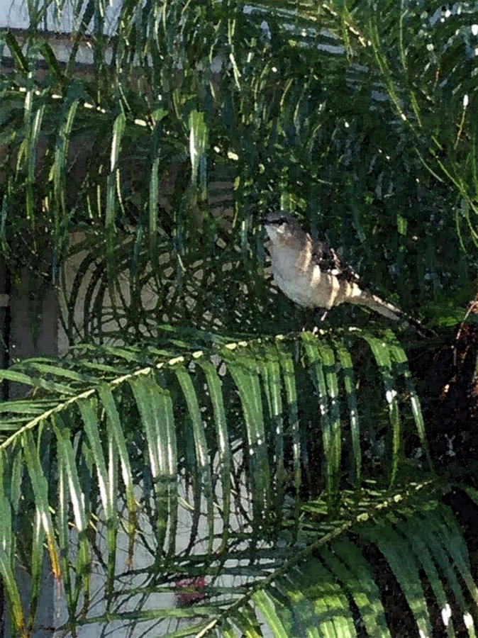 Bird on a Branch by George Pedro Bird on a Branch by George Pedro