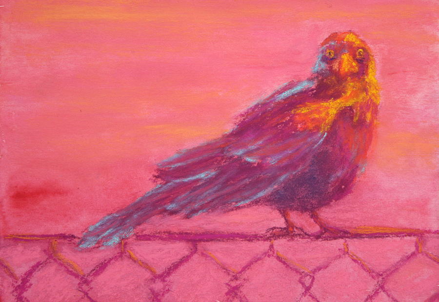 Bird on a Fence Painting by Nancy Jolley