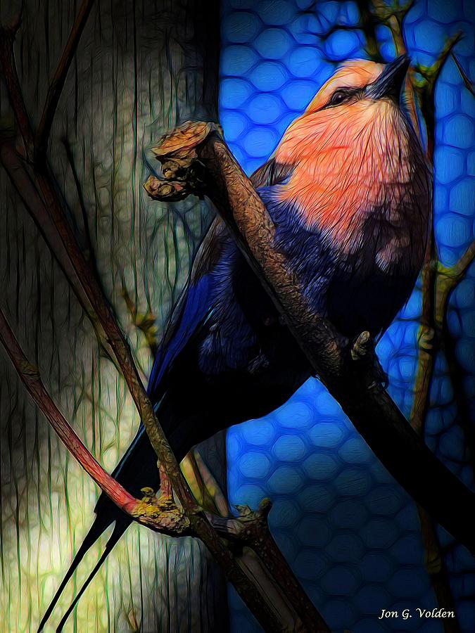 Bird On a Perch Photograph by Jon Volden