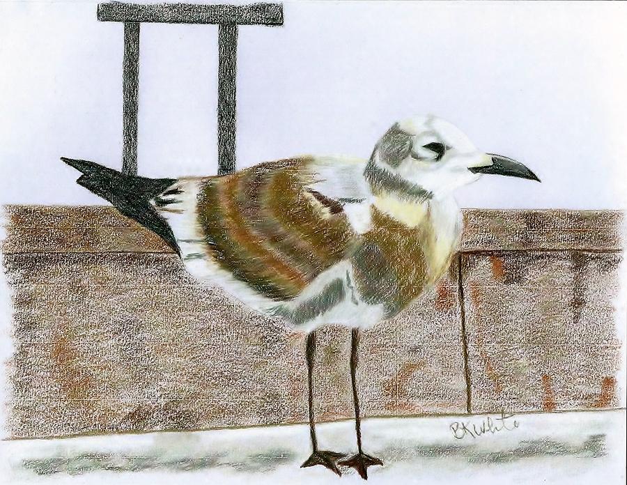 Bird on a pier Drawing by Brian White