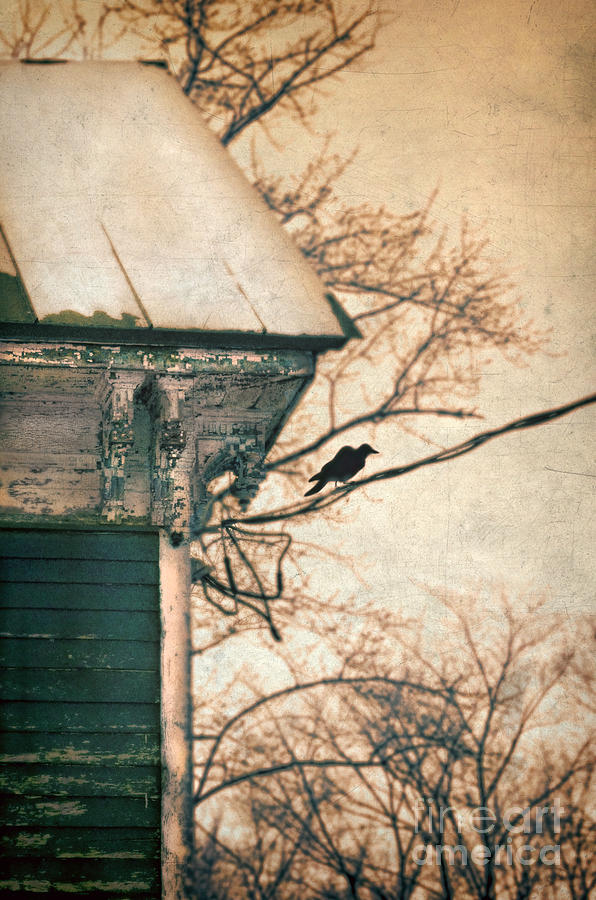 Crow Photograph - Bird on a Wire to Victorian House by Jill Battaglia