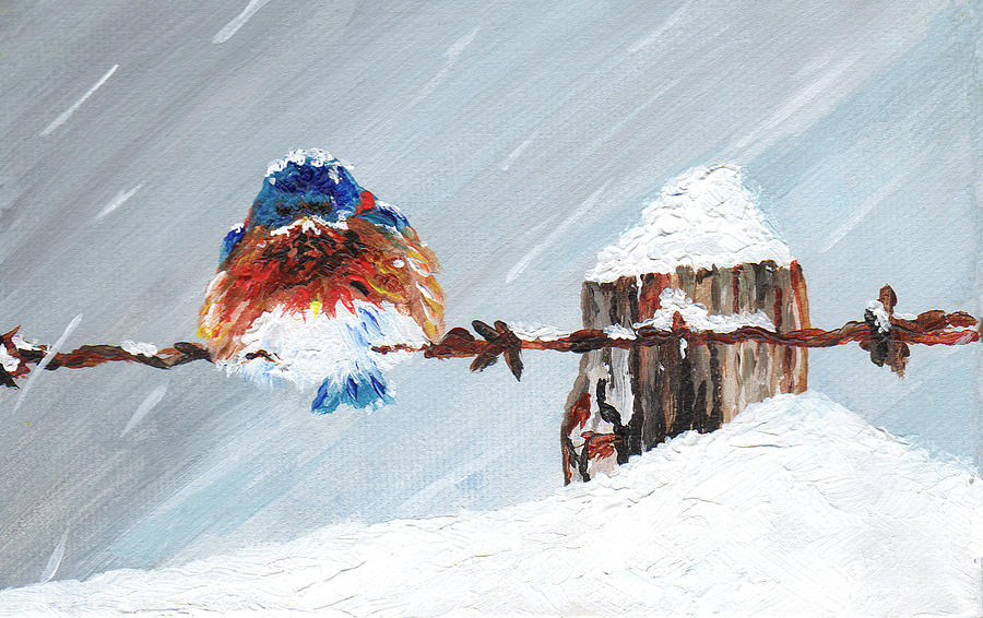 Winter Painting - Bird on Barb Wire Fence by Judith Rice