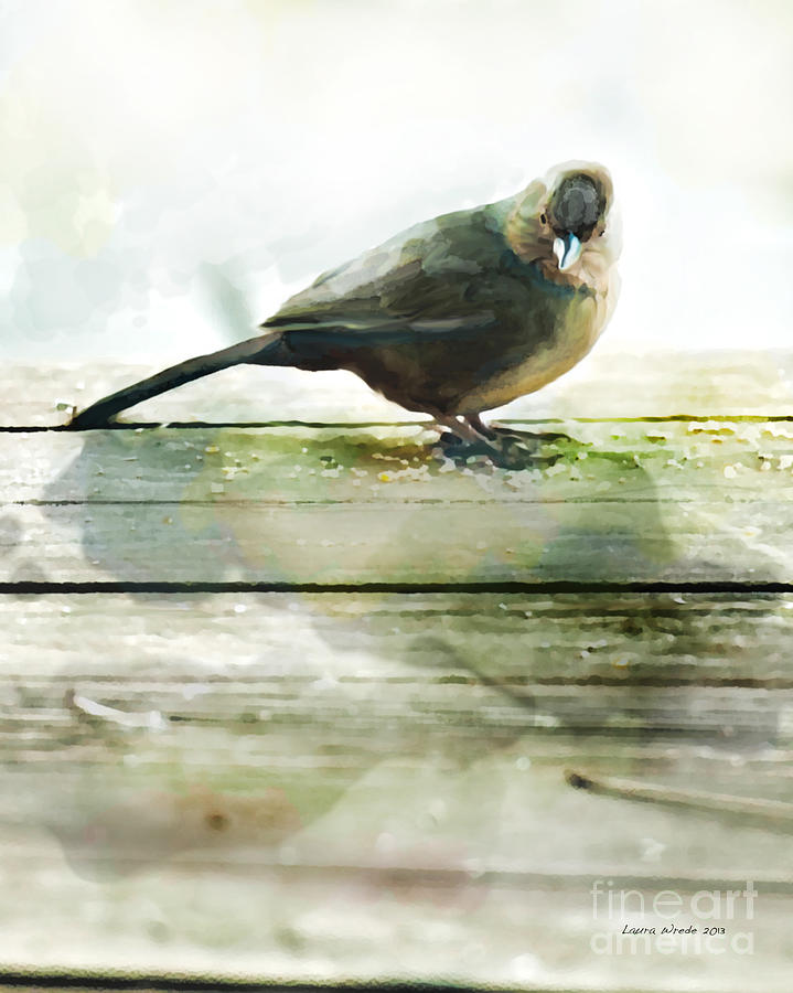 Bird on the Deck Painting by Artist and Photographer Laura Wrede