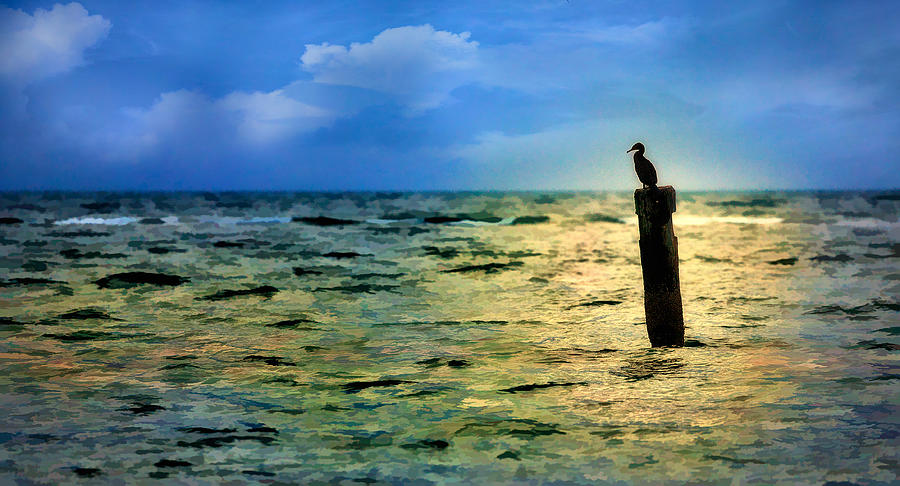 Bird on the Ocean - Outer Banks Seascape Painting by Dan Carmichael