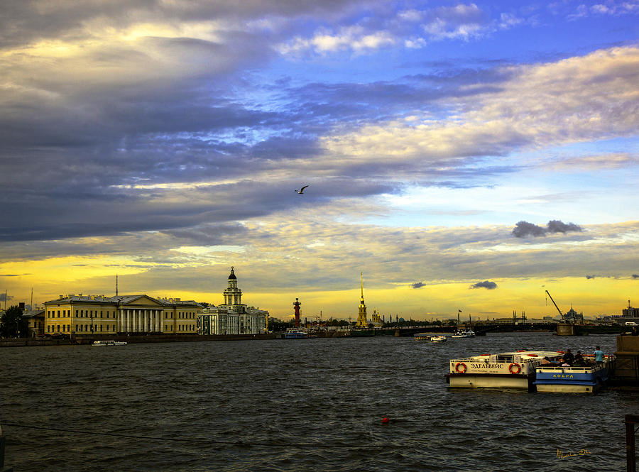 Bird Over the Volga River - St Petersburg Photograph by Madeline Ellis