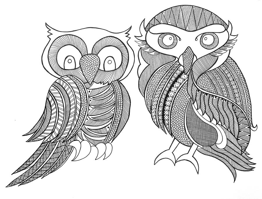 Black And White Drawing - Bird Owls by MGL Meiklejohn Graphics Licensing