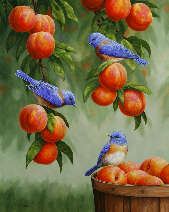 Birds Painting - Bird Painting - Bluebirds and Peaches by Crista Forest