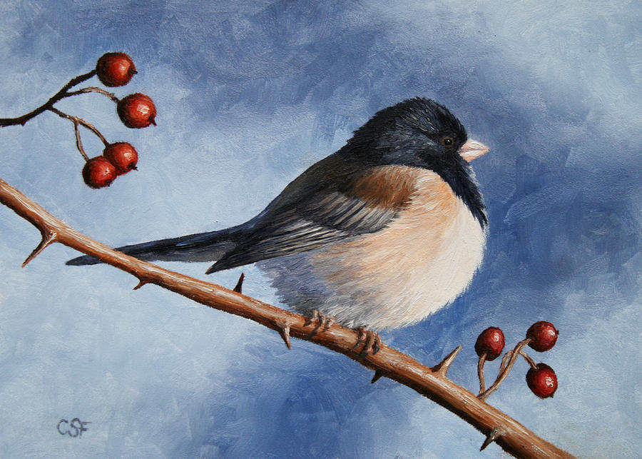 Bird Painting - Bird Painting - Dark-eyed Junco by Crista Forest