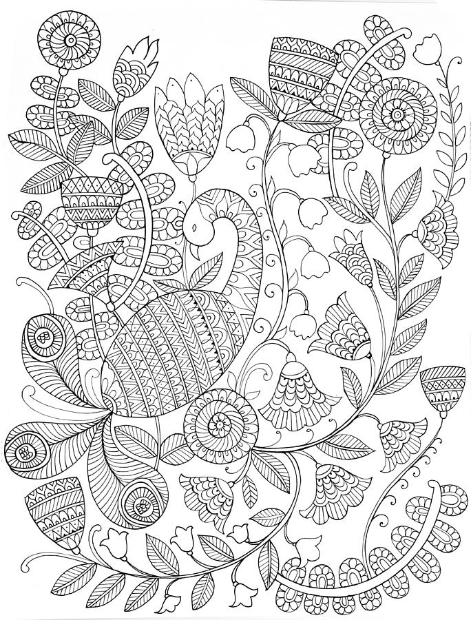 Black And White Drawing - Bird Peacock 9 by MGL Meiklejohn Graphics Licensing