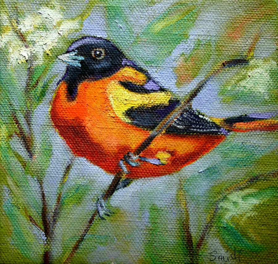 Bird Series Oriole Painting by Carol Jo Smidt