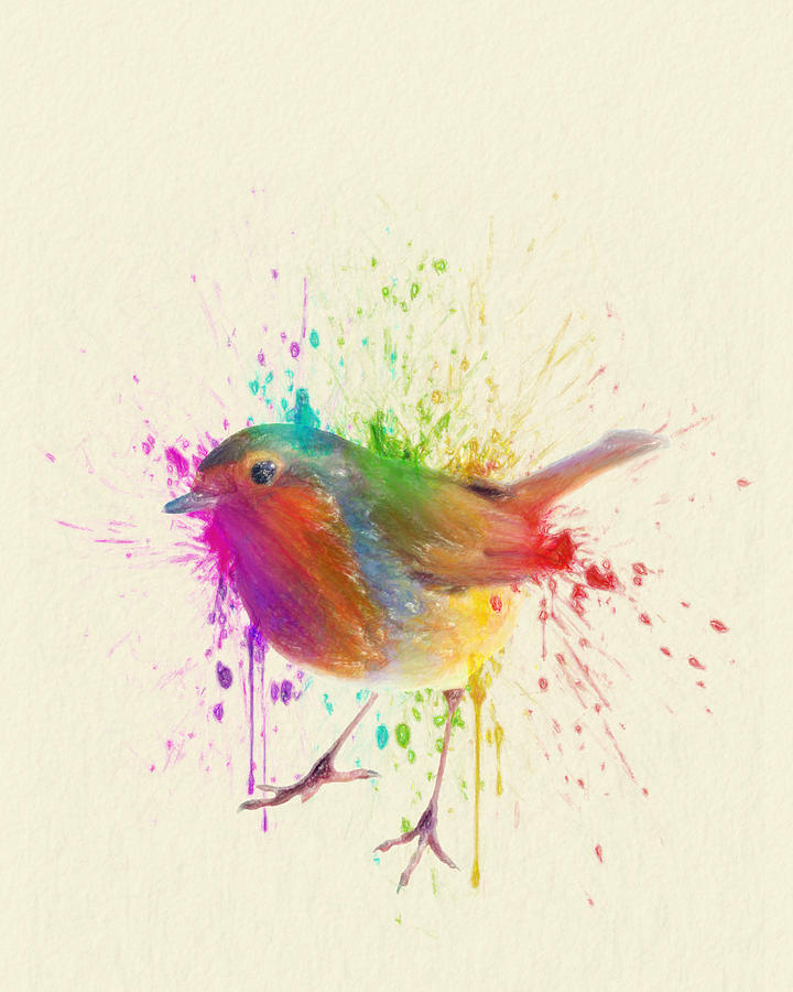 Bird Drawing - Bird Study by Zapista Zapista Bird Drawing - Bird Study by Zapista Zapista