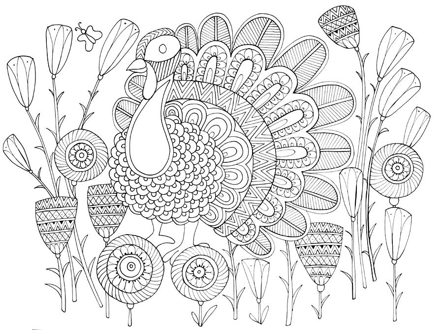 Black And White Drawing - Bird Turkey Bird 1 by MGL Meiklejohn Graphics Licensing