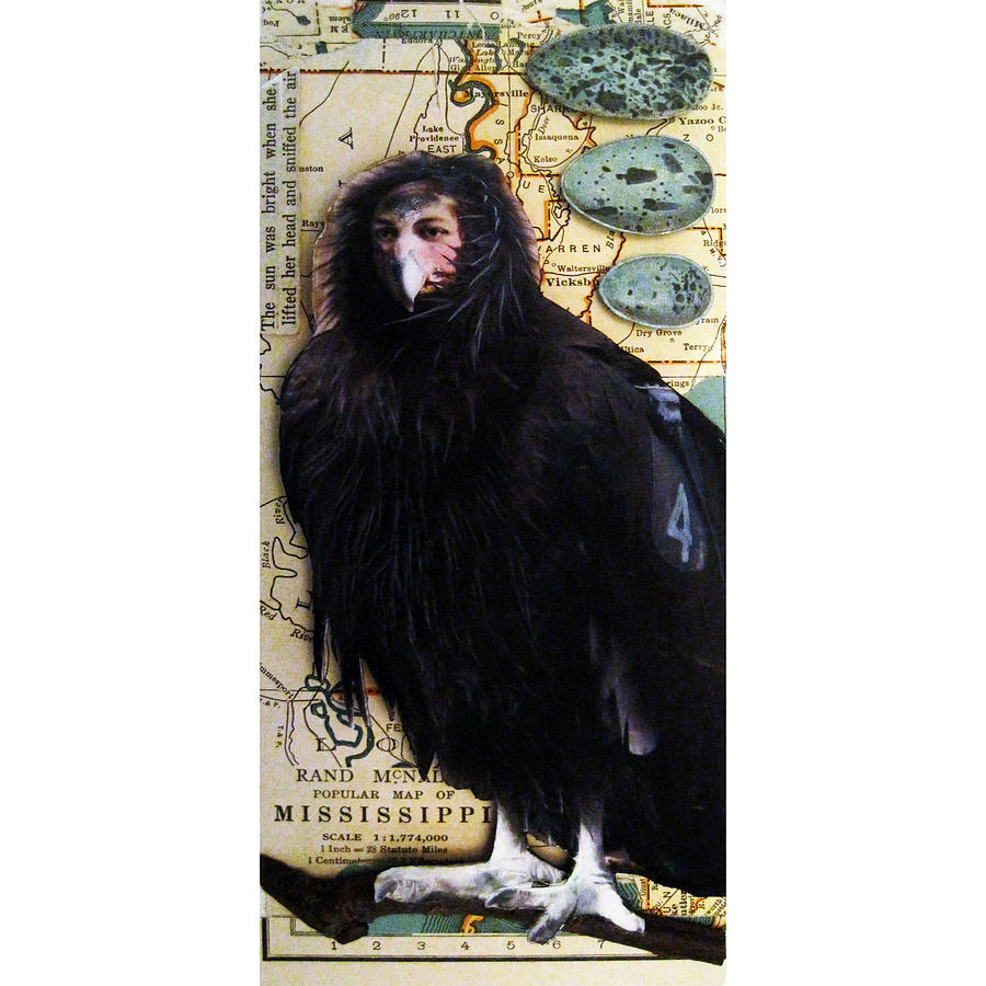 Condor Mixed Media - Bird Woman of Mississippi by Linda Apple
