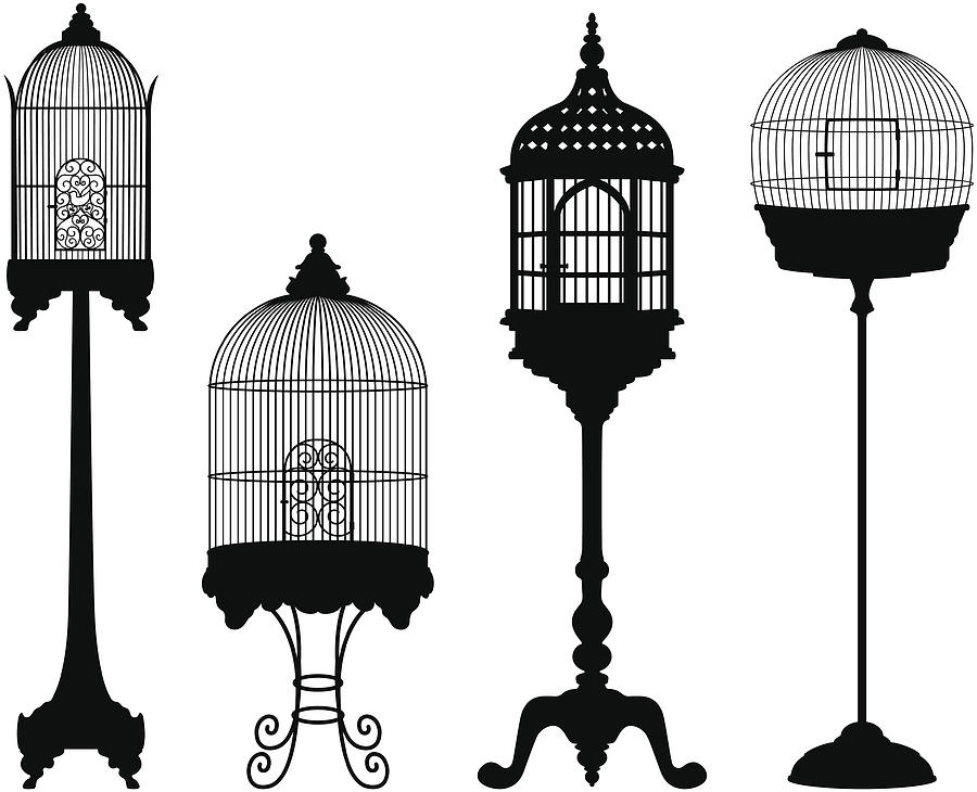 Birdcage Silhouettes Drawing by SongSpeckels