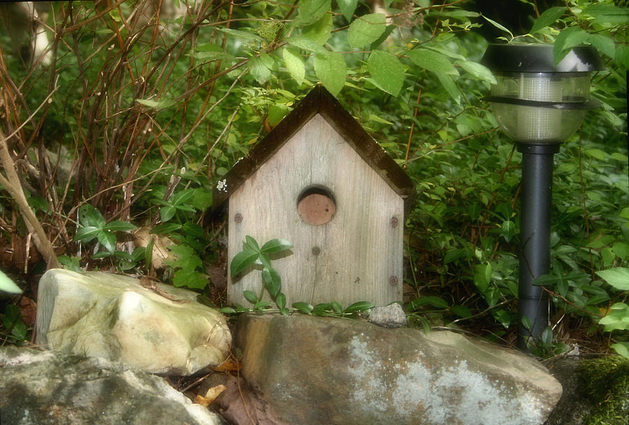 Birdhouse Photograph By Amy Freeman Fine Art America