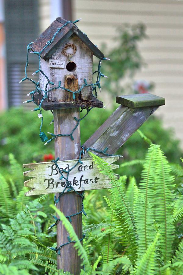 Birdhouse Bed and Breakfast Photograph by Gordon Elwell