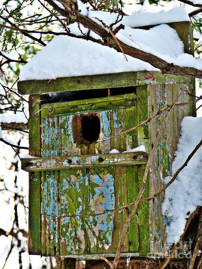 Birdhouse Photograph by Chris Sotiriadis