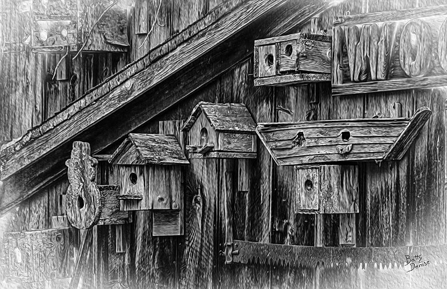 Saw Photograph - Birdhouse Collection by Betty Denise