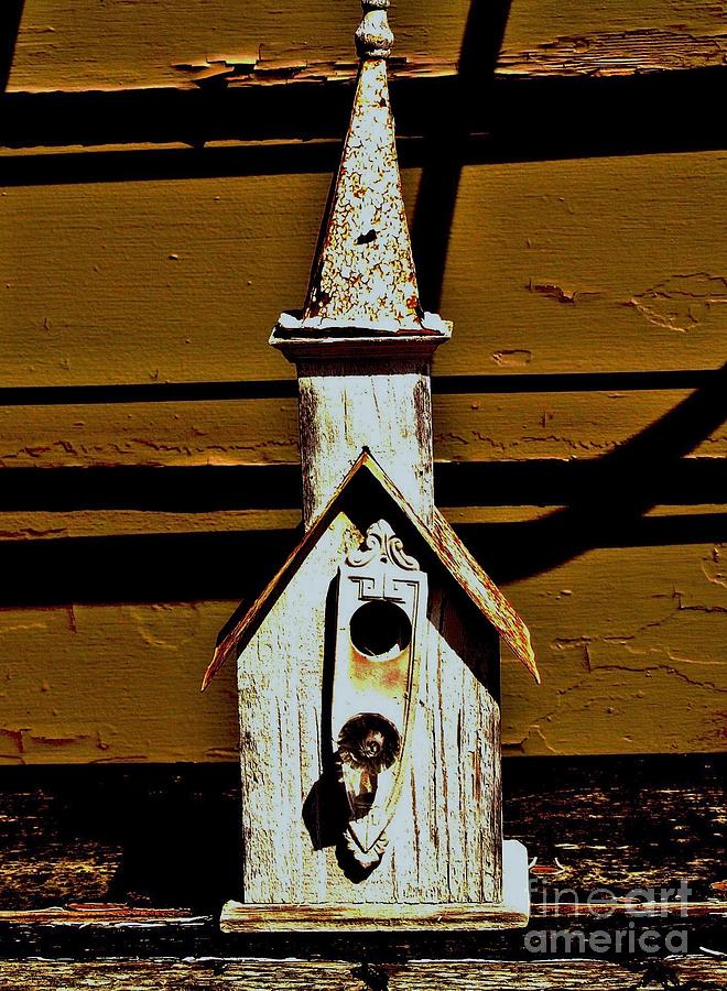 Birdhouse in Distress Photograph by Marsha Heiken