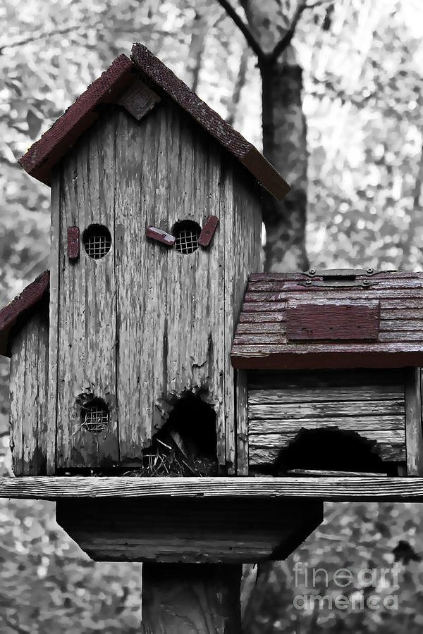 Nature Photograph - Birdhouse by Kristy Ollis