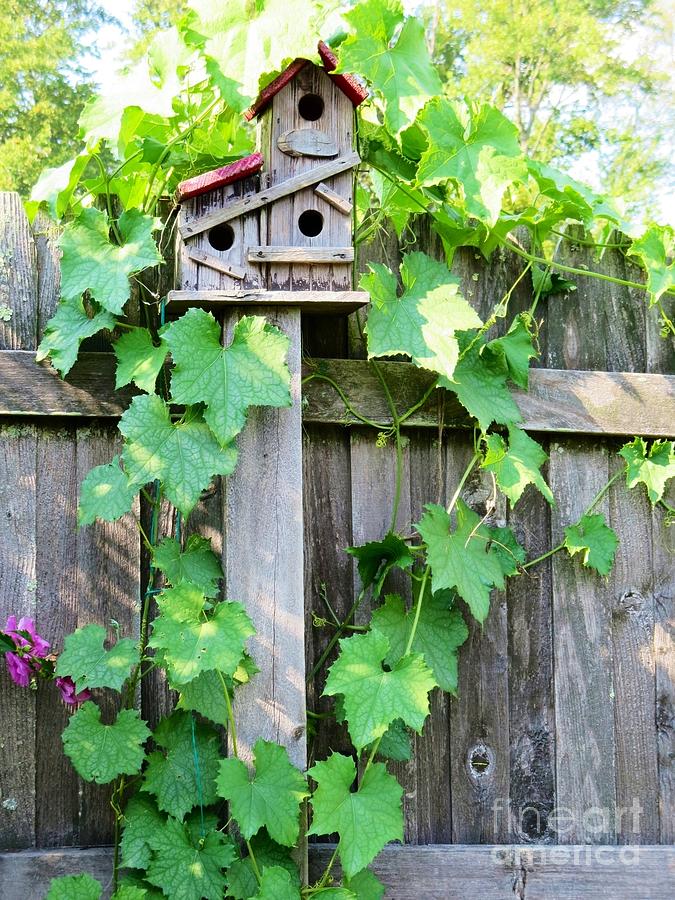 Birdhouse Sitting on a Fence Photograph by Kimberlee Baxter