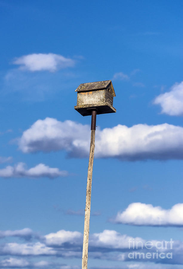 Bird Photograph - Birdhouse Skies by John Greim