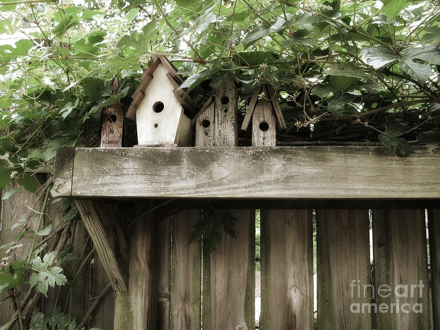 Birdhouses Photograph By Diana Bell Fine Art America