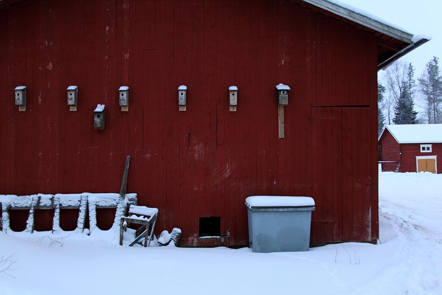 Winter Photograph - Birdhouses by Jaakko Saari