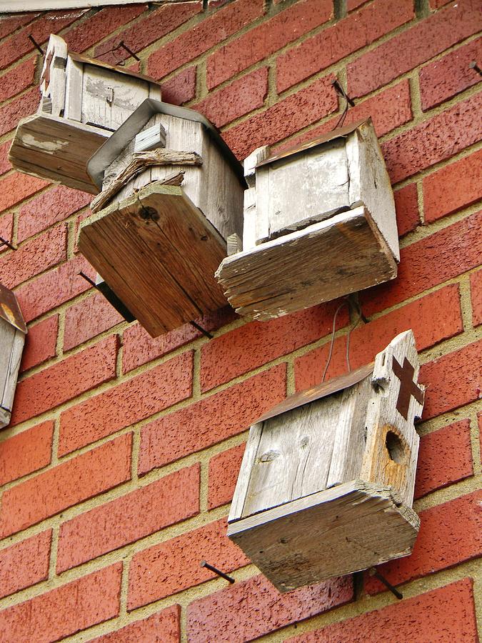 Birdhouses on Brick Photograph by Jean Goodwin Brooks