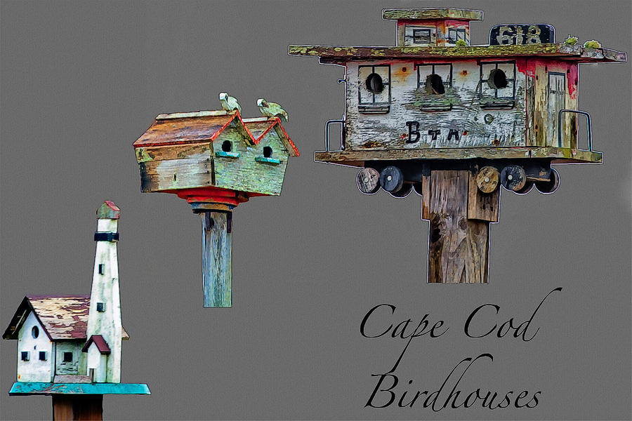 Birdhouses on Cape Cod Photograph by Constantine Gregory