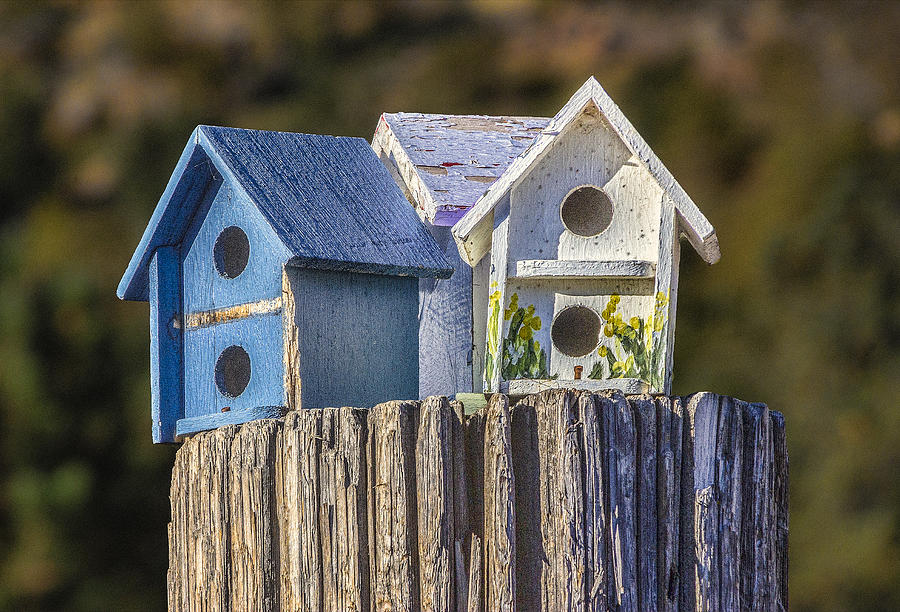 Birdhouses Digital Art by Photographic Art by Russel Ray Photos