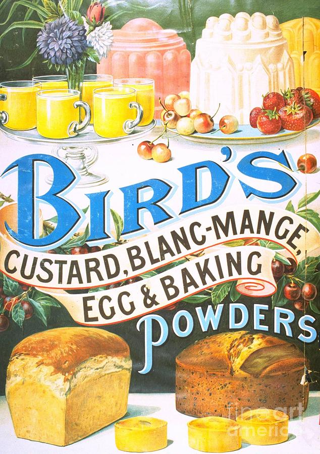1920s Drawing - Birds 1920s Uk Custard Blancmange by The Advertising Archives
