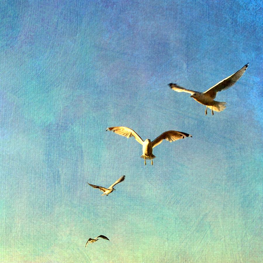 Birds Above Photograph by Michelle Calkins