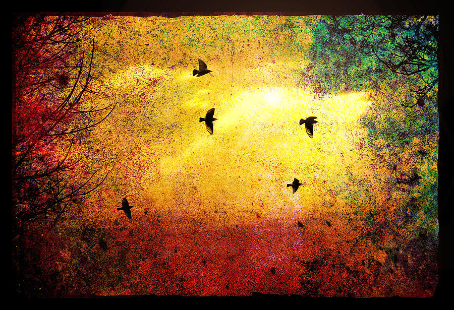 Birds at Sunset Digital Art by Rick Wicker