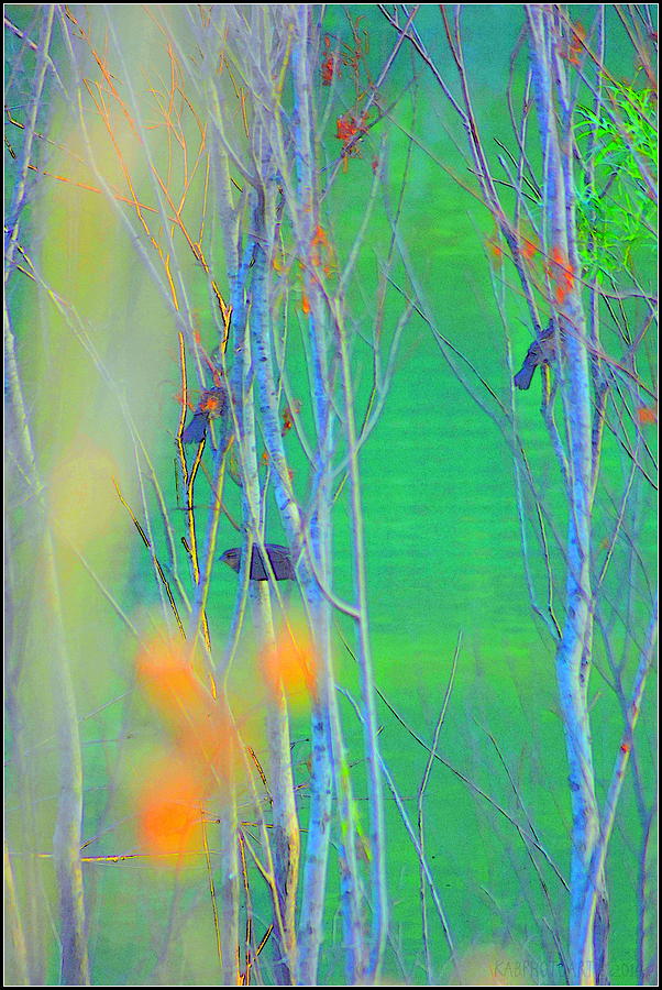 Birds Behind a Veil of Flowers Photograph by Kathy Barney