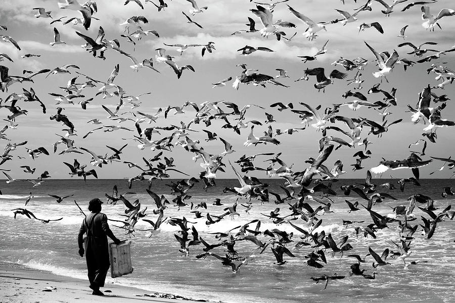Bird Photograph - Birds Birds by Liesbeth Van Der
