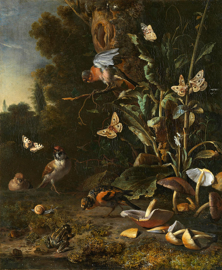Birds Butterflies and a Frog among Plants and Fungi Painting by Melchior dHondecoeter