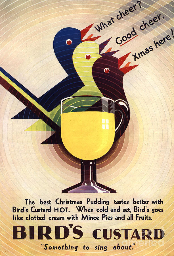 Bird Drawing - Birds Custard 1931 1930s Uk by The Advertising Archives