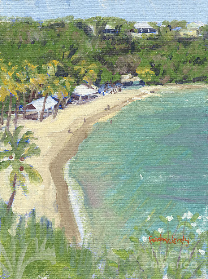 Birds Eye View Honeymoon Beach South Painting by Candace Lovely