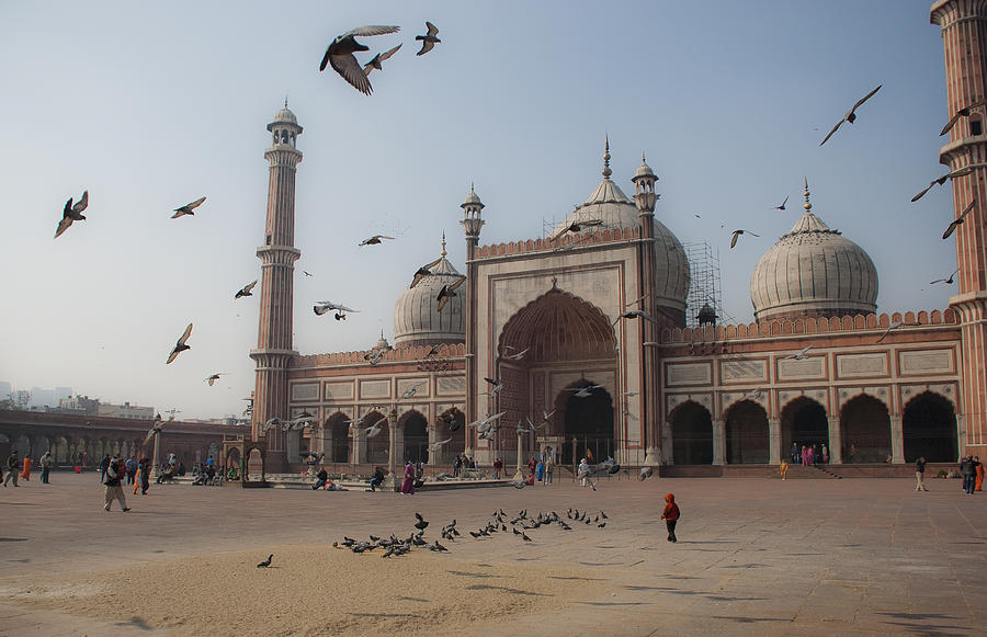 Birds flying over Jama Masjid Photograph by Rudy Boyer