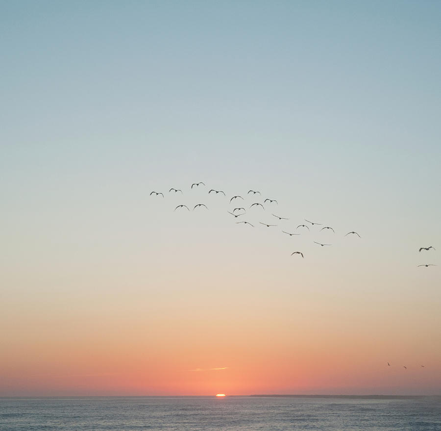 Birds Flying Over Ocean At Sunset Photograph by Marlene Ford