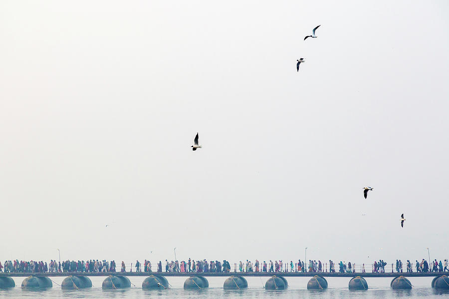 Birds Flying Over People On Bridge Photograph by Pixelchrome Inc